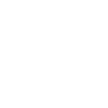 Whale Finance Logo